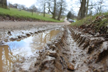 Muddy Path Reflects Cloudy Rural Landscape