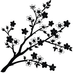 cherry blossom branch silhouette vector on white b.eps