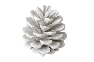 White pine cone decoration for christmas and winter holidays isolated on a transparent background