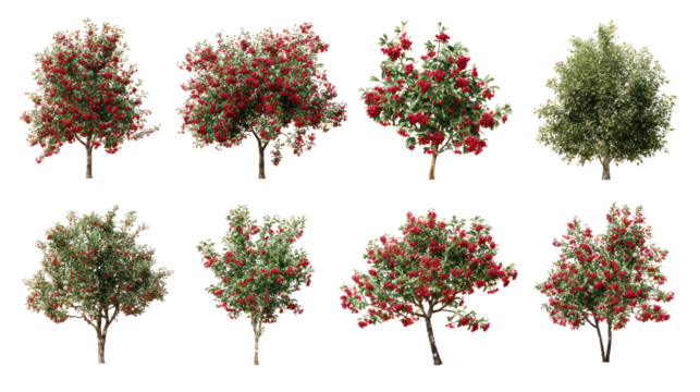 Collection of eight diverse trees with varying foliage and colors