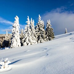 Snowy mountain landscape with pine trees (1)