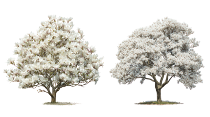 Two detailed model trees with white foliage against a black background