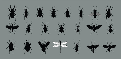 Insect silhouette collection, diverse species grid, black vector icons, beetles dragonflies flies, entomology reference, biodiversity morphology design
