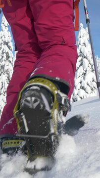 CLOSE UP: Unrecognizable young woman splitboarding in Bohinj treks up a hill covered in fresh powder snow. Active female tourist splitboards up a mountain in the wintry backcountry. Woman ski touring.