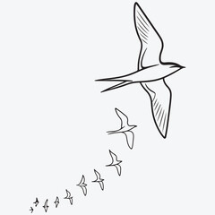 Echoes Above the Horizon