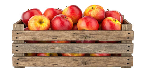 Rustic Wooden Crate with Fresh Red Apples on Transparent Background
Organic Red and Yellow Apples in Wooden Crate Isolated on White