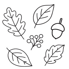 Collection of hand-drawn leaves and acorn illustrations featuring various shapes and sizes, showcasing nature's beauty and diversity in a minimalist style