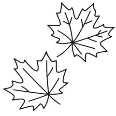 Two hand-drawn maple leaves in a simple black outline style, showcasing intricate vein patterns and natural shapes, perfect for nature-themed design projects and illustrations