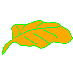 illustration Leaf