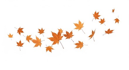 Vibrant and Brown Autumn Maple Leaves Flying and Falling Against a Clean White Background, Creating a Dynamic Seasonal Wave Pattern