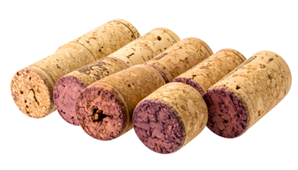 Close-up of six used wine corks arranged together, isolated