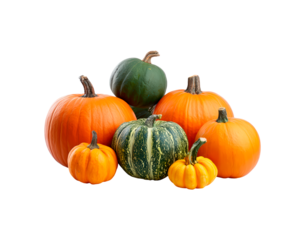 Variety of colorful pumpkins and gourds displayed on transparent background