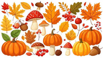 Autumn harvest illustration