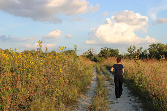 Woman walking on a trail at the restored tallgrass prairie at dusk at Linne Woods in Morton Grove, Illinois