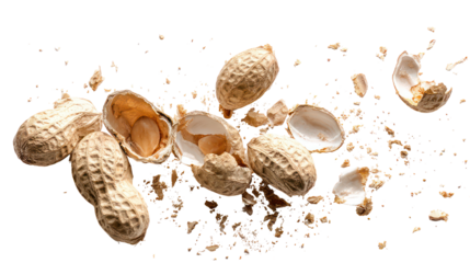 Several opened peanut shells with kernels scattered isolated on transparent background