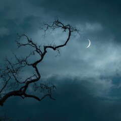 A tree branch with bare branches against a dark, cloudy sky with a crescent moon