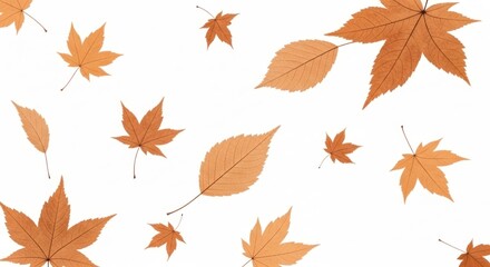 Fototapeta premium Minimalist Autumn Leaves Pattern on White Background with Translucent Brown and Fall Foliage