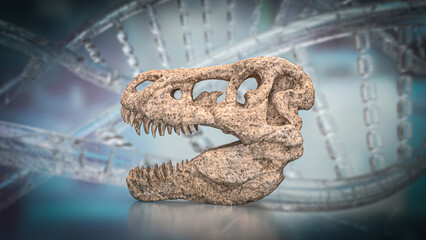 The T rex Skull for Education Or sci concept 3d Rendering.