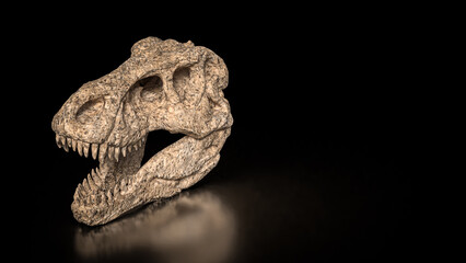 The T rex Skull for Education Or sci concept 3d Rendering.