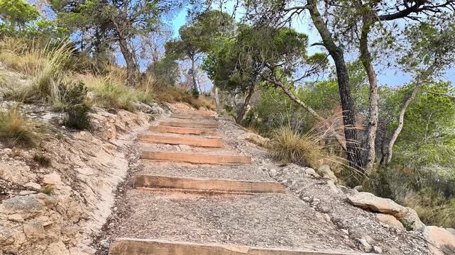Enjoy a stunningly beautiful hike that features wooden steps and vibrant, lush greenery along the winding path