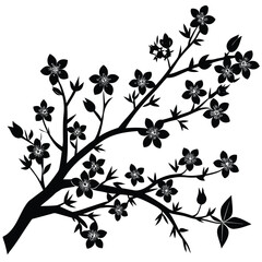 cherry blossom branch silhouette vector on white b.eps