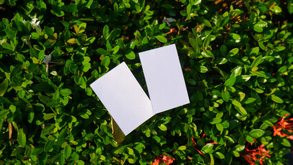 plain business card mockup on green lush nature background