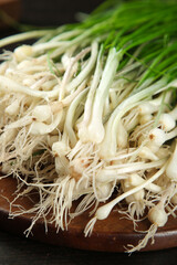 Fresh Green Onions with Rootlets on Wooden Board - Organic Vegetable Ingredient