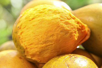 Fresh Golden Tropical Fruit from Hainan Yunnan China Close-up Natural Texture Yellow Flesh Organic Produce