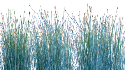 Abstract colorful vertical lines forming glass a textured pattern isolated on transparent background