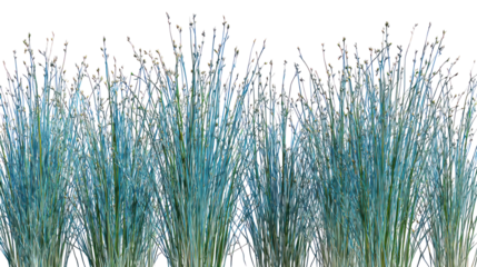 Abstract colorful vertical lines forming glass a textured pattern isolated on transparent background