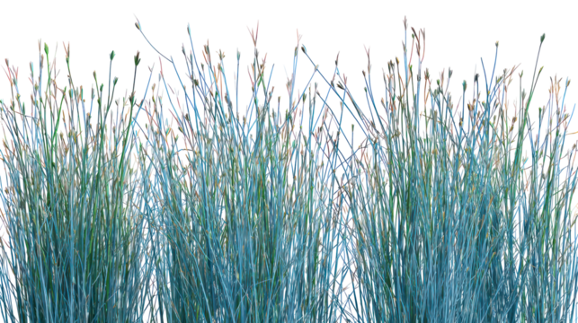 Abstract colorful vertical lines forming glass a textured pattern isolated on transparent background