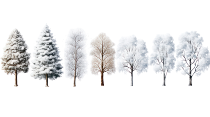 Collection of snow covered trees isolated on transparent background