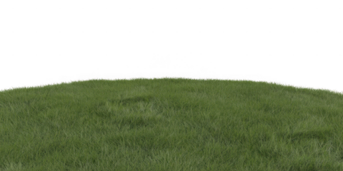 Green grassy hill top isolated on transparent background. landscape with green grass
