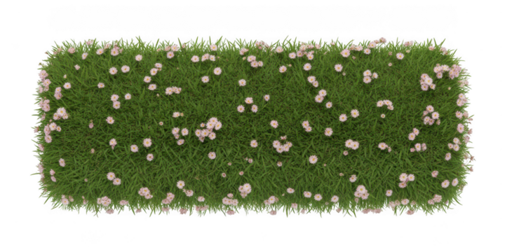 Green rectangular mossy surface with white spots isolated on transparent background. green grass on white background