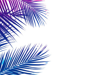 Coconut leaf wallpaper