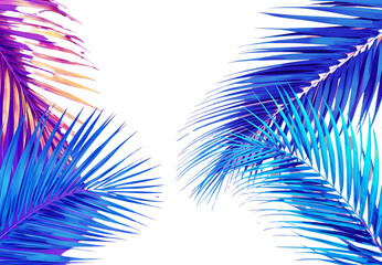 Coconut leaf wallpaper