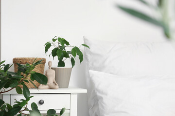 Houseplants with home decor on bedside table in cozy bedroom