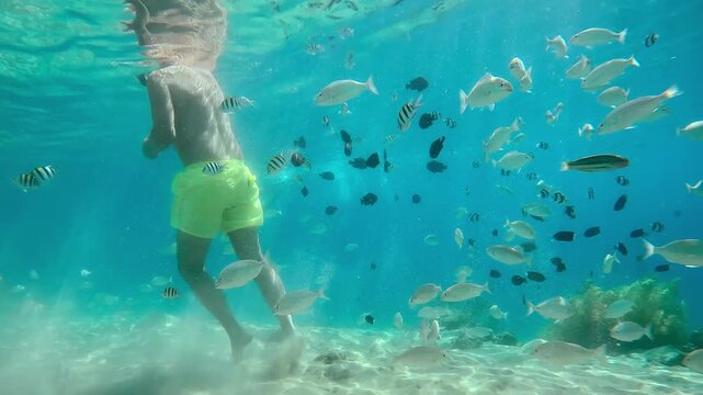 Underwater shot, Male in yellow shorts standing on sandy seabed and feeding bread crumbs to tropical fishes, Slow motion of feeding a lot of different fish on tropical beach