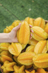Fresh Star Fruit Carambola Hand Holding Ripe Tropical Pentagram Shaped Fruit Fujian Zhangzhou China