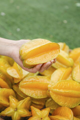 Fresh Ripe Star Fruit Carambola from Fujian Zhangzhou China - Tropical Fruit Harvest