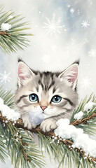 cat 