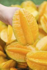 Fresh Ripe Peach Slices from Zhangzhou - Sweet Juicy Fruit in Hand Close-up