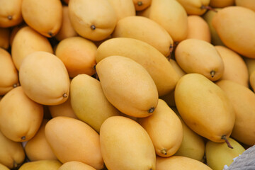 Fresh Golden Mango Fruit Pile - Ripe Tropical Yellow Mangoes at Market Display