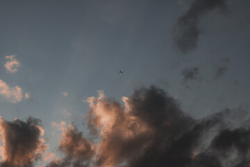 Plane in the moody dusk sky