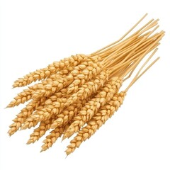 Dried Wheat Stalks Bundled Together for Rustic Agricultural Decor
