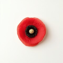 Bright Red Poppy Flower with Black Center on White Background