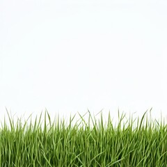 an AI Image Generator, Vibrant Green Grass Border On White Background