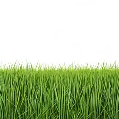 an AI Image Generator, Vibrant Green Grass Border On White Background