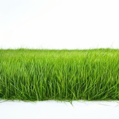 an AI Image Generator, Vibrant Green Grass Border On White Background