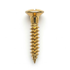 Brass Wood Screw with Slotted Head on White Background